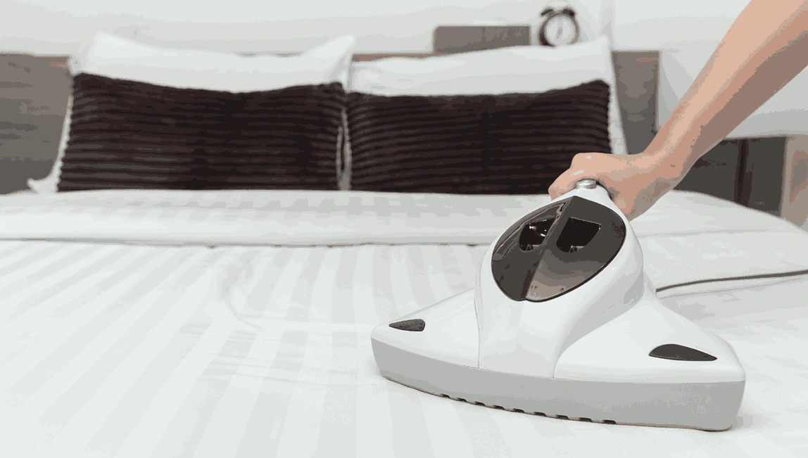 Professional Mattress Cleaning Clifton Springs